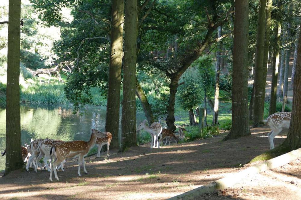 Parc Quinquis