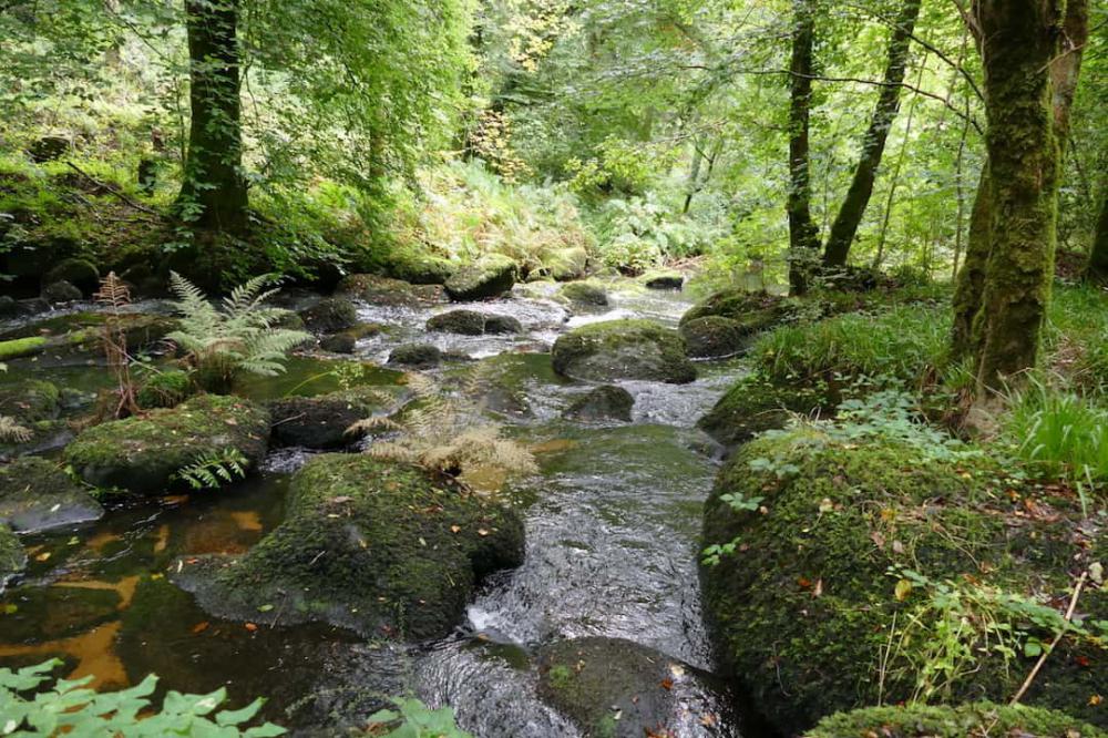 Rivière Aër à Guiscrif