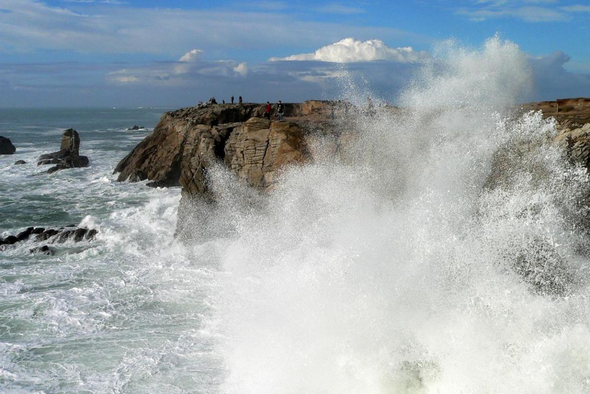 Quiberon-cote-sauvage