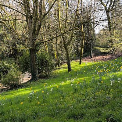Parc Trébihan